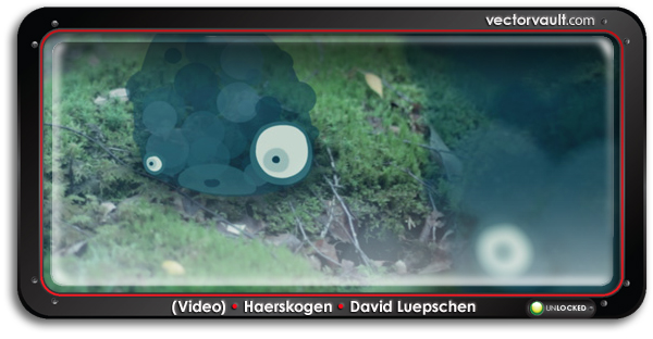 video-Haerskogen-David-Luepschen