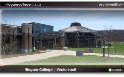 Niagara College – Research and Marketing Assistance